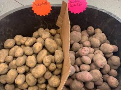 Skt News Article March 2020 Image Clearwater Farm Garden 21 315×291 C