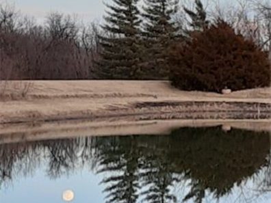 Dixie Selenke Moon Reflection 315×291 C