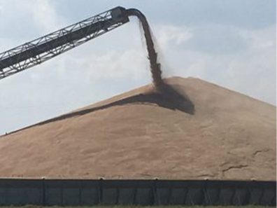 Greg Kalkwarf Harvest Profits Scaled 315×291 C