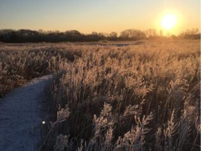 Greg Kalkwarf Path To Sunrise Scaled 315×291 C