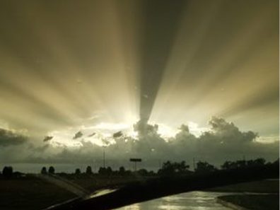 Jeff Laha Sun Rays Scaled 315×291 C