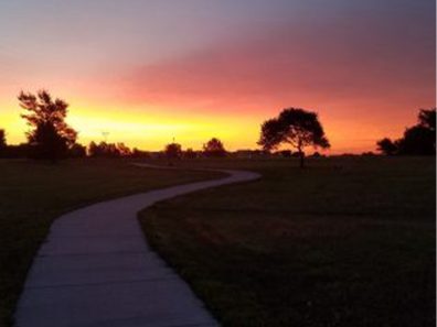 Jeff Laha Sunrise Scaled 315×291 C