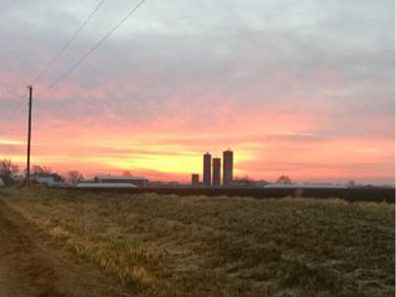 Sherri Dalbom Fall Morning Scaled 315×291 C