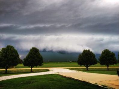 Tim Colborn After The Rain 315×291 C