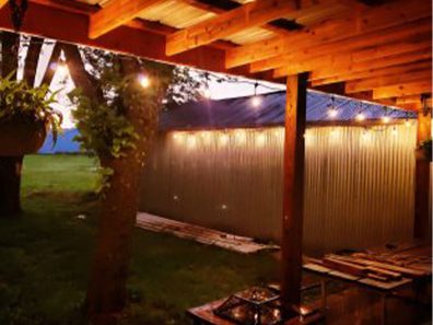 Tim Colborn And The Thunder Rolls 315×291 C