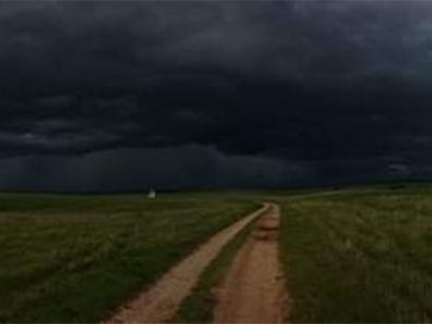 Kayci Bowman Storm Over Cambridge 315×291 C