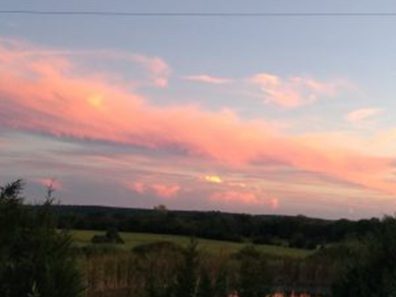 Larry Rolinda Tomlinson Evening Drive 315×291 C