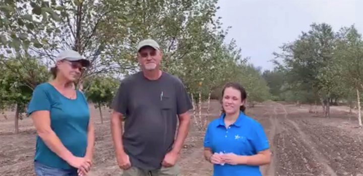 Skt News Article September 2019 Video Image Woods Tree Farm 2434×988 C