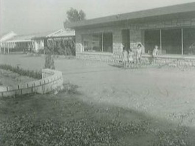 DeRee Family 315×291 C