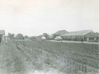 DeRee Farm 315×291 C