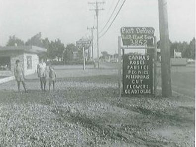 Piet DeRees Bulb And Plant Farm 315×291 C