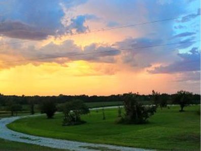 Alex McCulley Morning Sun 1 315×291 C