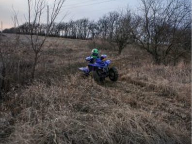 Amy Greene Happy Trails 1 315×291 C