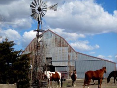 Char Burke Between Clearwater And Haysville 1 315×291 C