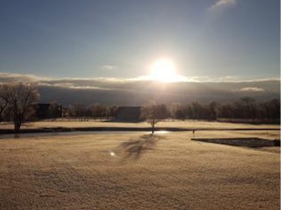 Gregory Hennes Morning After The Storm 1 315×291 C