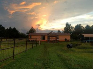 Judith Klein Storm Brewing 1 315×291 C