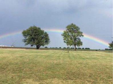 Nick Warren Rainbow 1 315×291 C