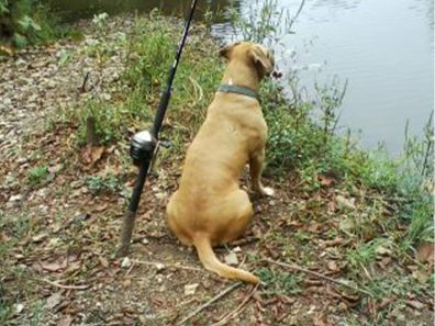 Harriet Horner Everyone Likes To Fish 2 315×291 C