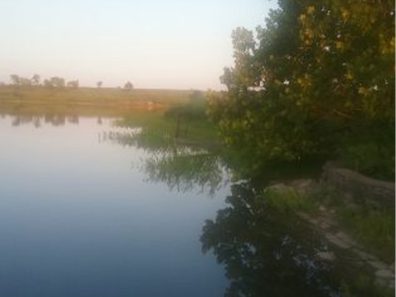 Jayne And James Allen Old Moline Lake 2 315×291 C