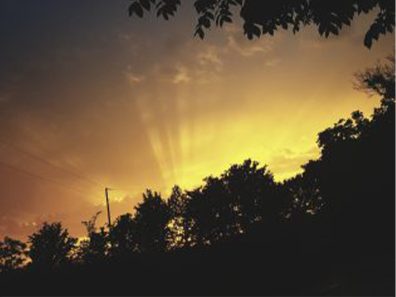 Kayci Bowman Sunset Outside Of Cambridge 2 315×291 C