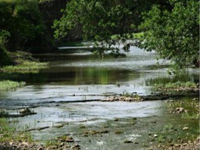 Rick Shaffer River 2 315×291 C