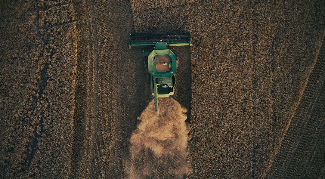 Twin Valley Featured Image Andrew Pauly Clearwater Viola Directory Cover Winner