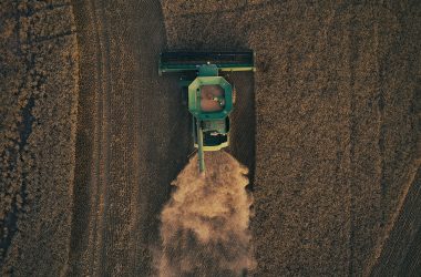 Twin Valley Featured Image Andrew Pauly Clearwater Viola Directory Cover Winner