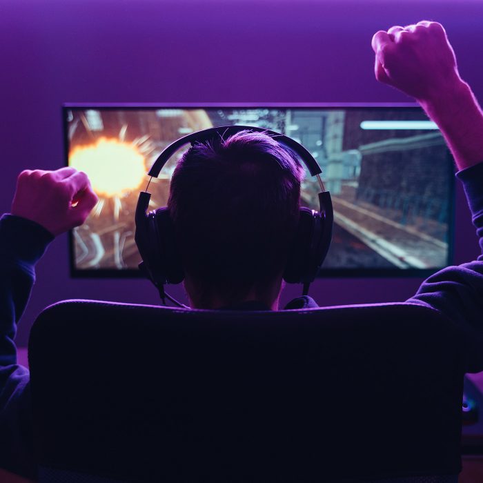 Twin Valley Image Listing Large Fiber Gaming Network