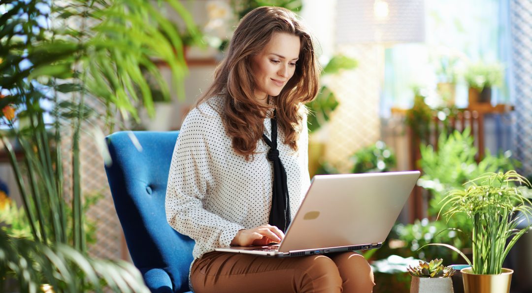 Twin Valley Eco Friendly Internet December 2023