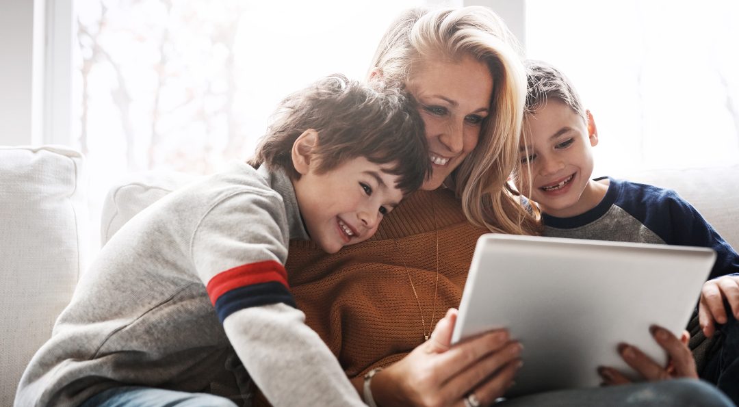 Twin Valley Stay Safe Online June 2024